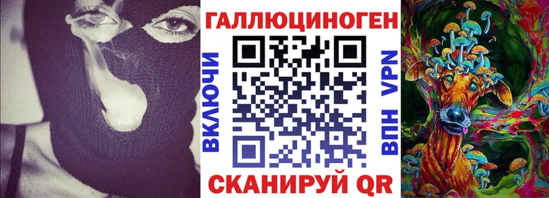 Псилоцибиновые грибы прущие грибы  Кингисепп 
